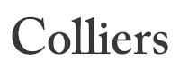 top web development company